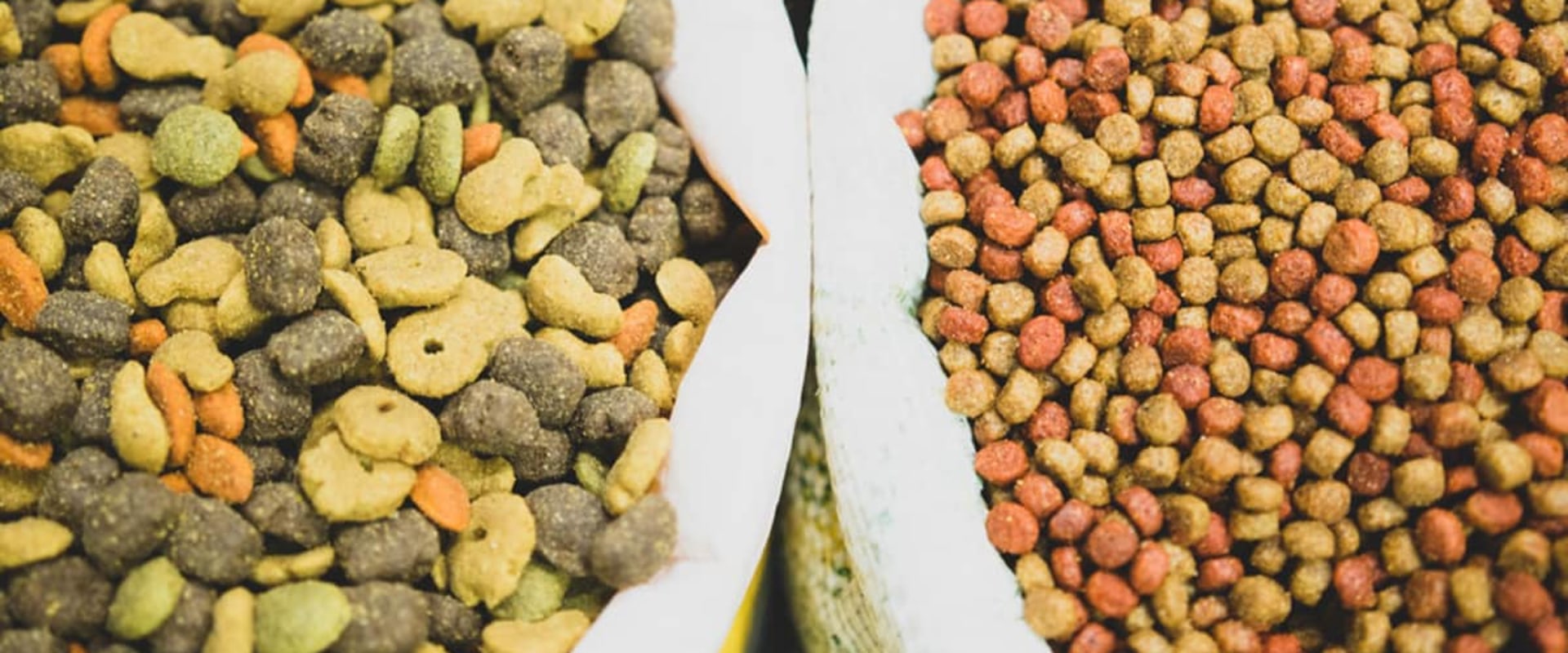 What do vets recommend as the best dog food?