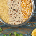 Is Grain-Based Dog Food the Best Option for Your Pet?