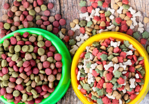 What Dog Food Attracts Dogs the Most?