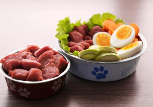 Is Organic Raw Dog Food Worth It For Dogs?