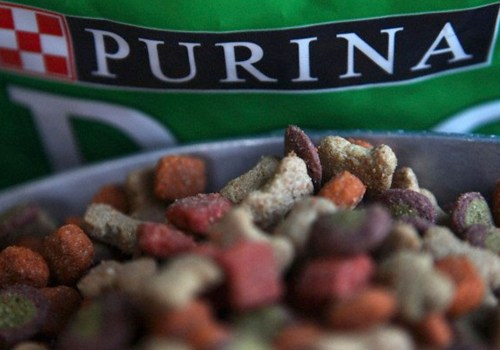 What dog food brand is killing dogs?